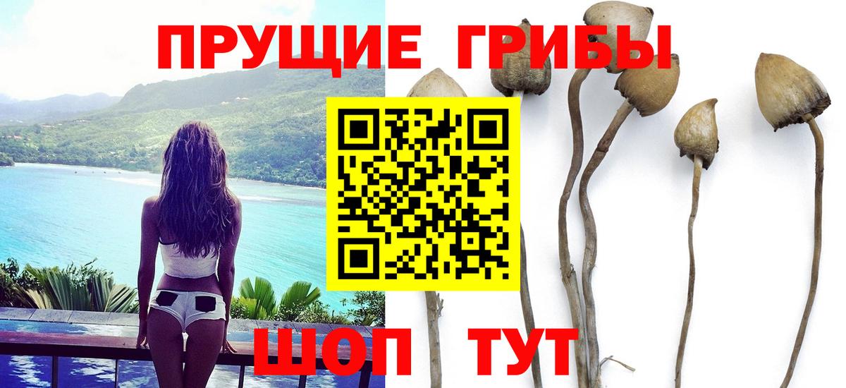 Галлюциногенные грибы Magic Shrooms Электрогорск