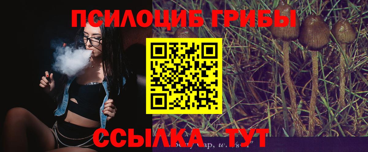 Галлюциногенные грибы MAGIC MUSHROOMS  Вход с VPN  Электрогорск 